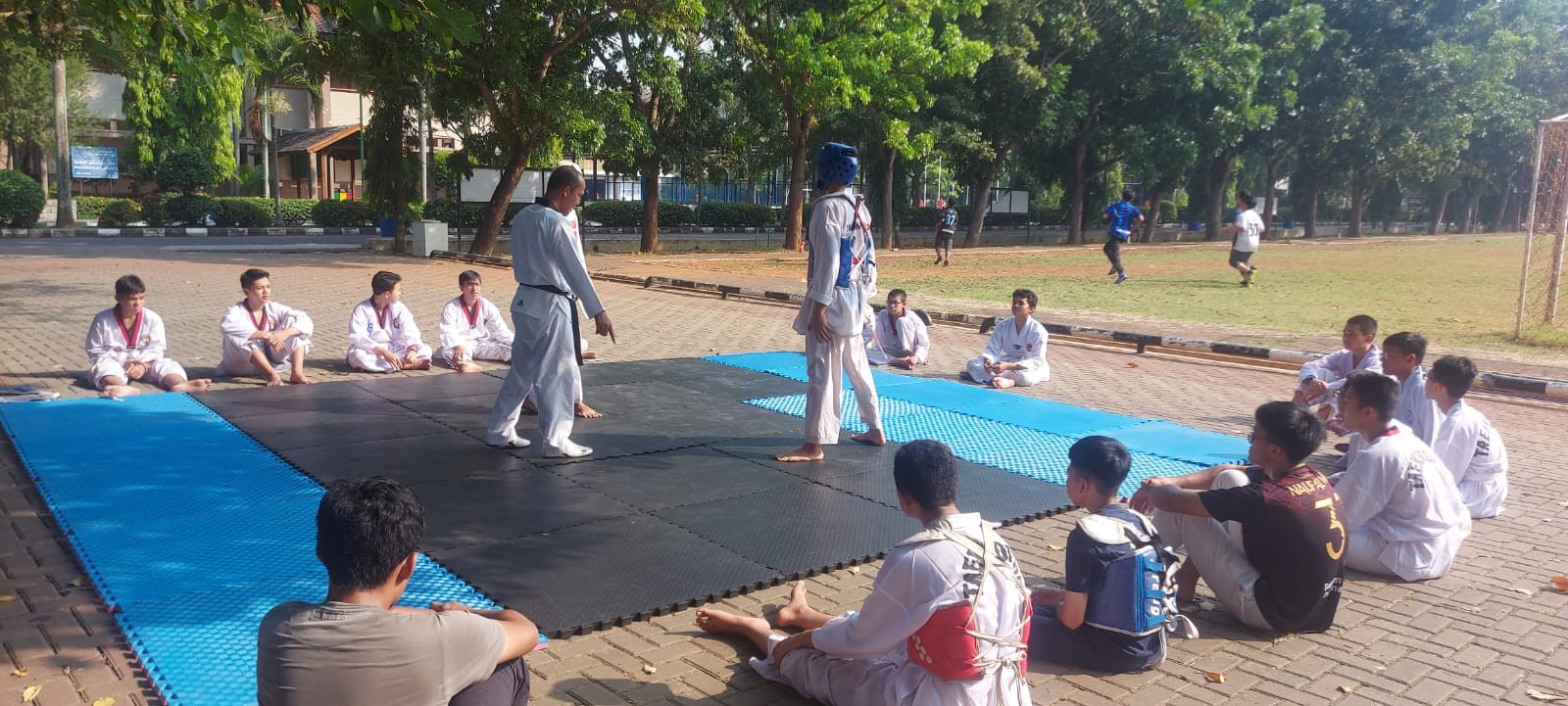 Taekwondo